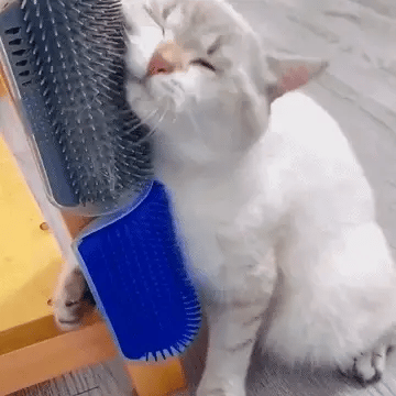 Brosse Auto-toilettante Outil de Massage pour Chat