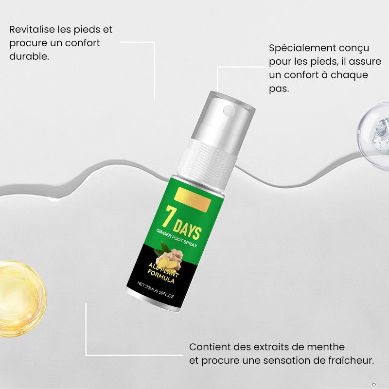 Éliminateur de callosités des pieds