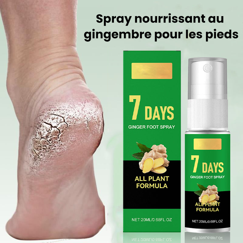 Éliminateur de callosités des pieds