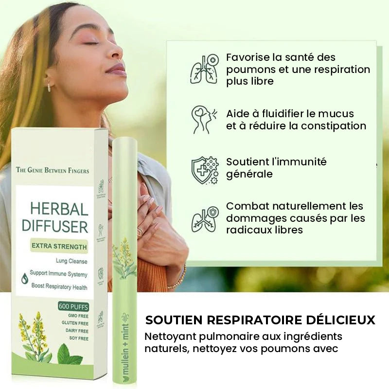 🔥Diffuseur d'herbes à l'extrait de molène
