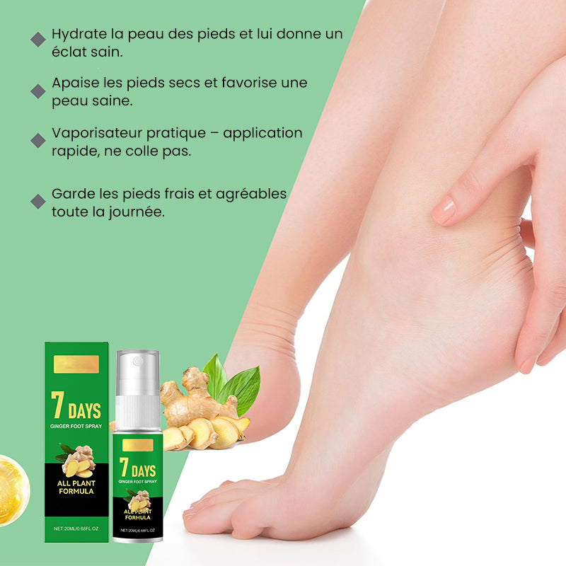 Éliminateur de callosités des pieds