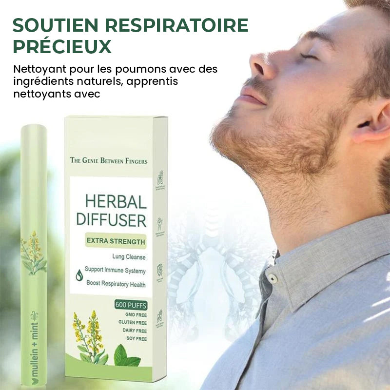 🔥Diffuseur d'herbes à l'extrait de molène