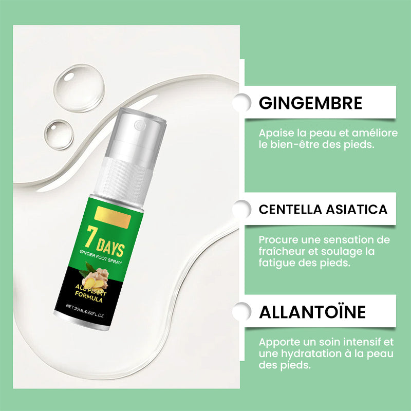 Éliminateur de callosités des pieds
