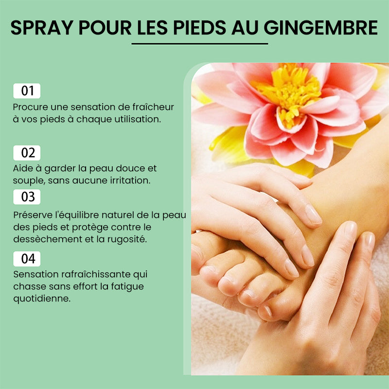 Éliminateur de callosités des pieds