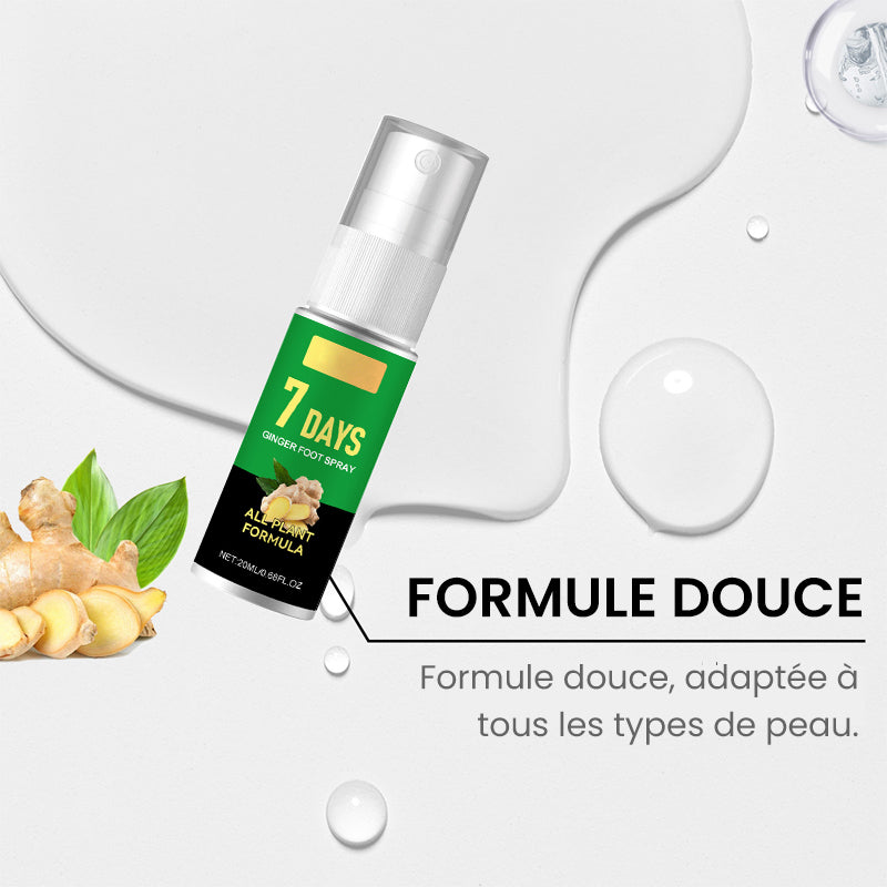 Éliminateur de callosités des pieds