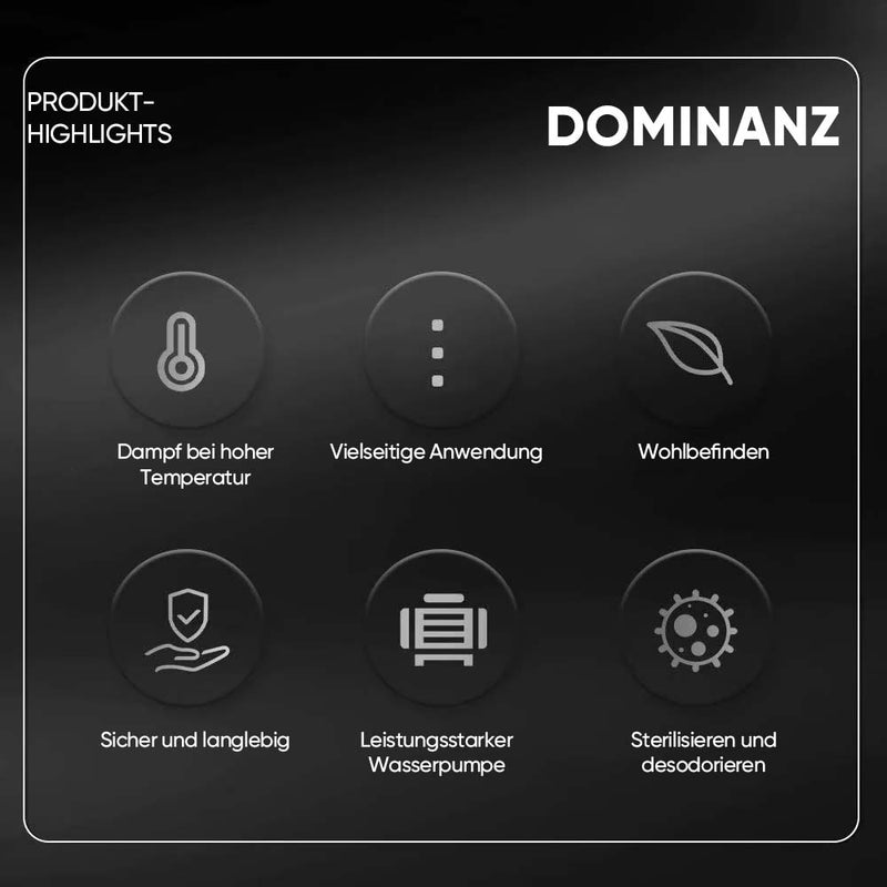 Nettoyeur Vapeur Désinfectant