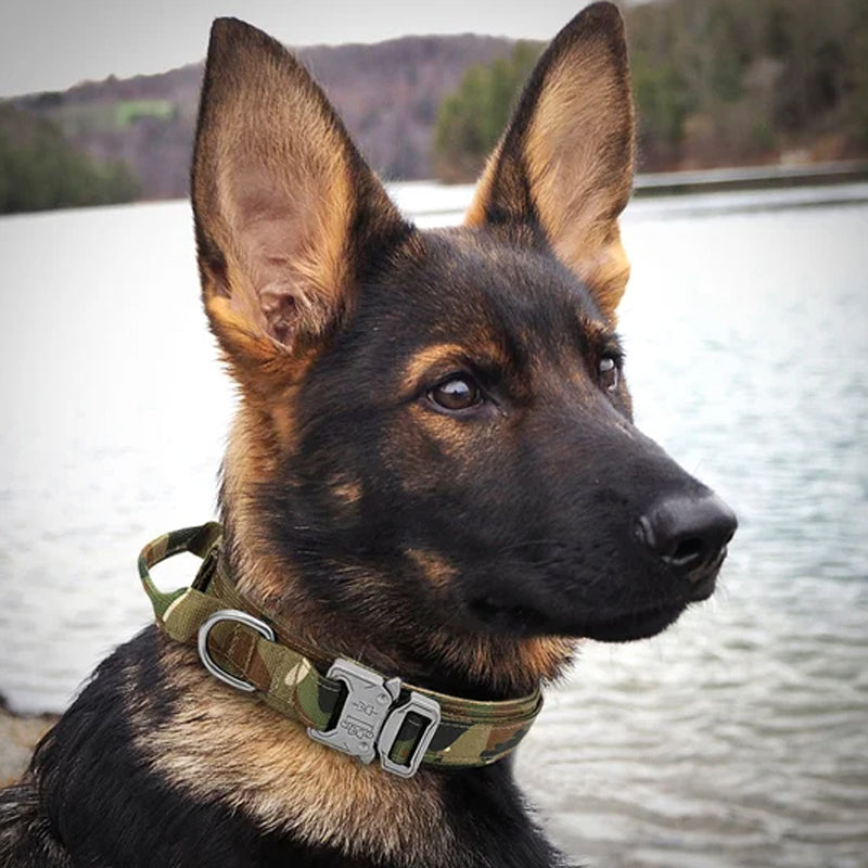 Collier de chien tactique avec poignée
