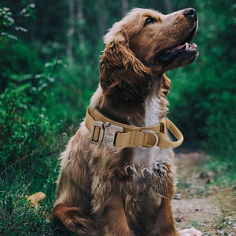 Collier de chien tactique avec poignée