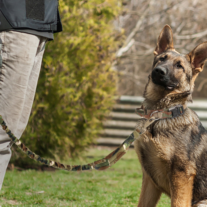 Collier de chien tactique avec poignée
