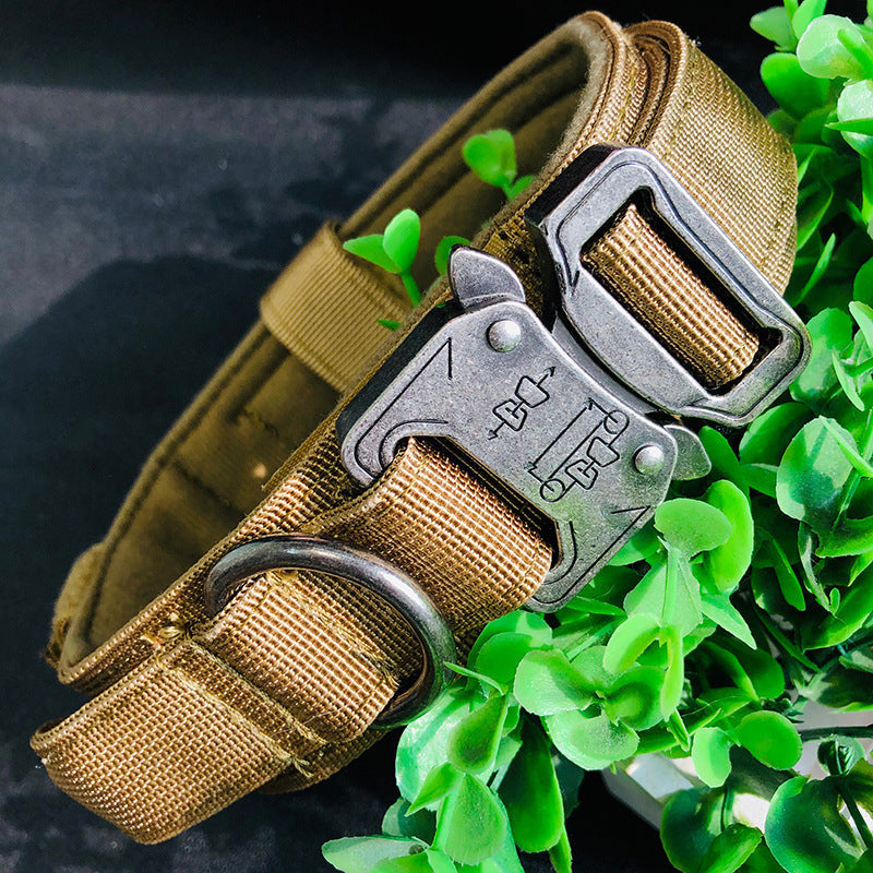 Collier de chien tactique avec poignée