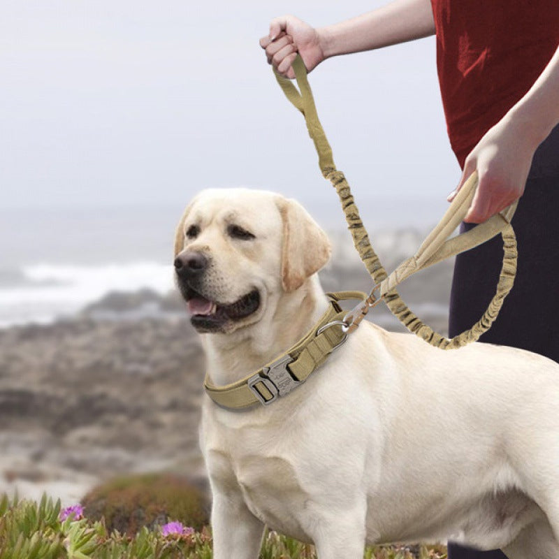 Collier de chien tactique avec poignée